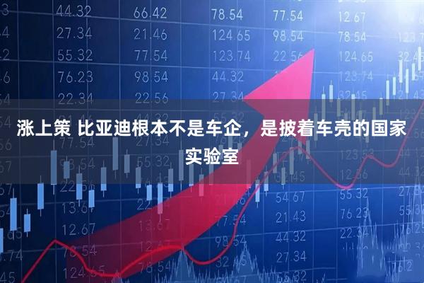 涨上策 比亚迪根本不是车企，是披着车壳的国家实验室